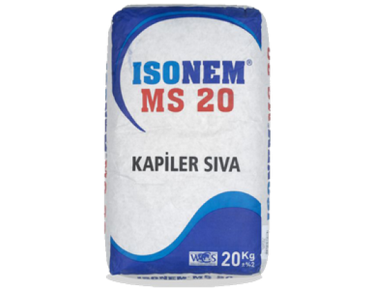 MS 20