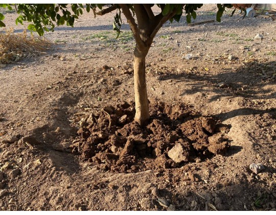 SOIL WATER TRAP