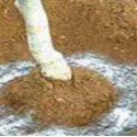 SOIL WATER TRAP SOIL WATER TRAP